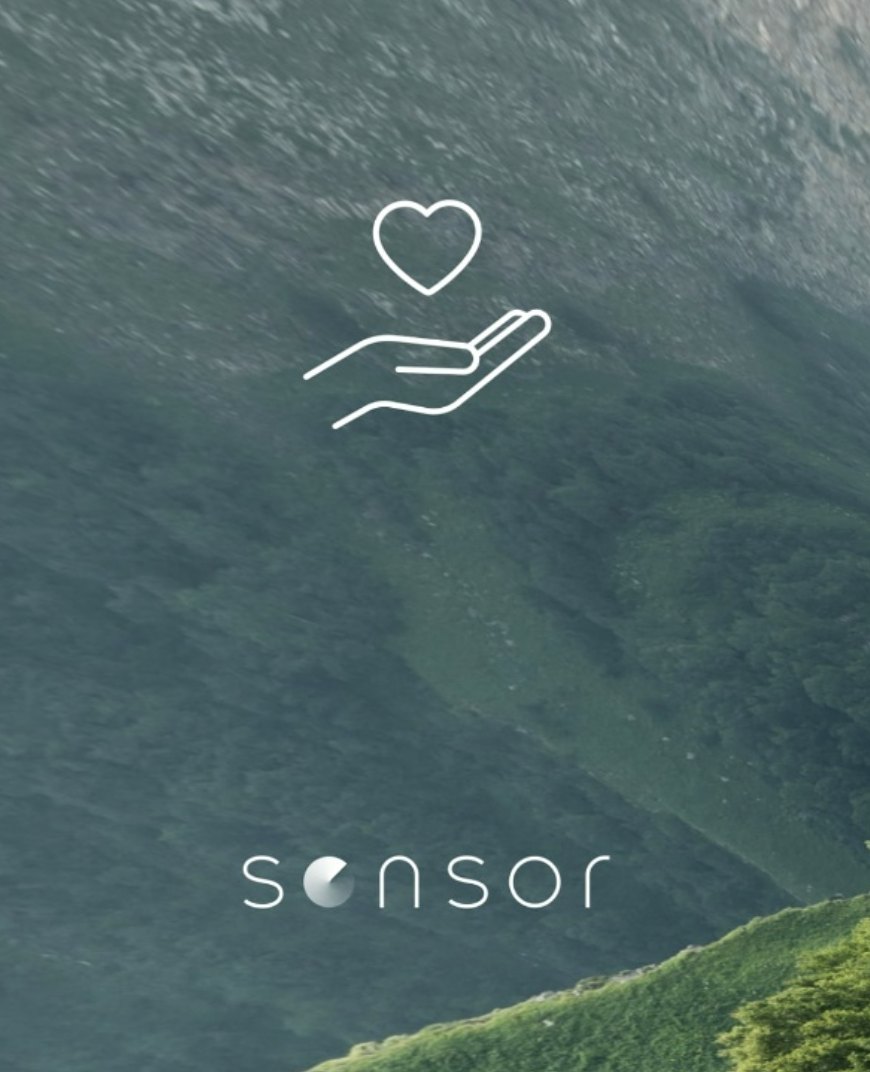 Sensor Festival